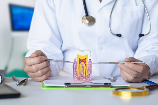 Best Pediatric Emergency Dentist in Center Hill, FL